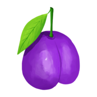 baga em aquarela, clipart de frutas pintados à mão png