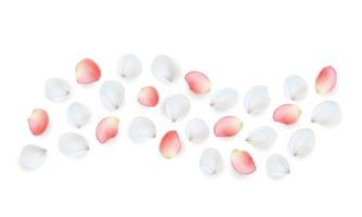 Realistic vector elements set of rose petals. Pink and white petals of rose flower