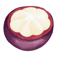 Watercolor Mangosteen, Hand painted fruit clipart png