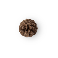 Pine cone cutout, Png file