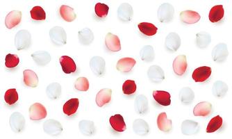 Realistic vector elements set of rose petals. Red, white and pink petals of rose flower