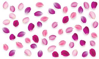 Rose Petals Images – Browse 2,095,363 Stock Photos, Vectors, and Video