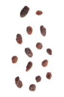 chute de raisins secs, fichier png