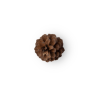 Pine cone cutout, Png file