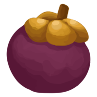 mangostano dell'acquerello, clipart di frutta dipinta a mano png