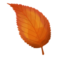 feuille d'aquarelle, feuilles d'automne clipart