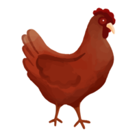 poulet aquarelle, clipart de ferme peint à la main png