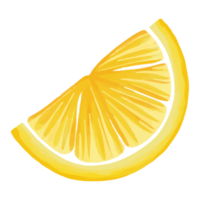 akvarell citron, handmålad frukt clipart png