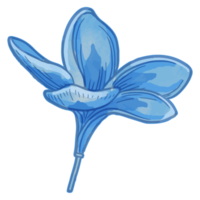 Watercolor flower, Blue flora clipart png