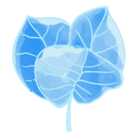 aquarel bloem, blauwe flora clipart png