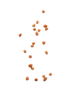 Falling peanuts cutout, Png file