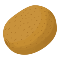 akvarell kiwi, handmålad frukt clipart png