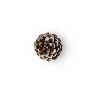 Snow pine cone cutout, Png file