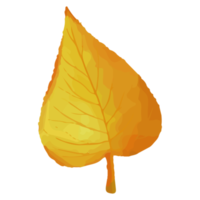 feuille d'aquarelle, feuilles d'automne clipart png