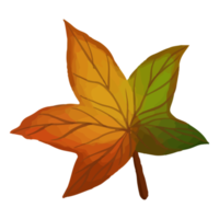 Aquarellblatt, Herbstblätter Clipart png