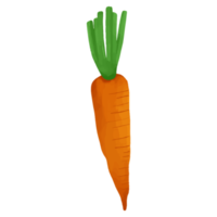 carota dell'acquerello, clipart di verdure dipinte a mano png