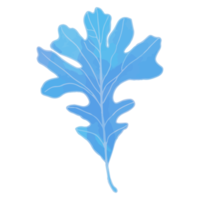 feuille aquarelle, feuilles bleues clipart png