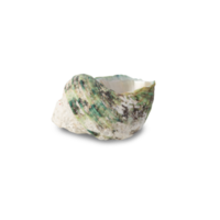 Muschelausschnitt, png-Datei png