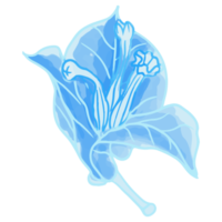 aquarel bloem, blauwe flora clipart png