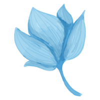 fiore dell'acquerello, clipart blu della flora png