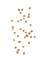 Falling peanuts cutout, Png file