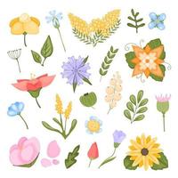 Collection of flower plants. Fabulous, magical vector blossoms set.