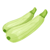 pepino em aquarela, clipart de legumes pintados à mão png