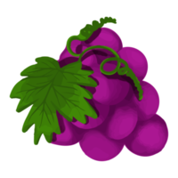 akvarell druva, handmålad frukt clipart png