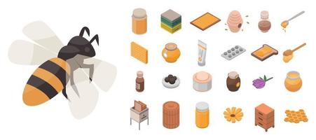 Apiary icon set, isometric style vector