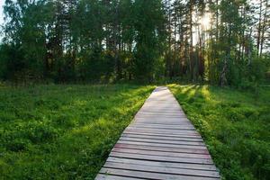 a tourist road made of wooden bars in the forest.view of the forest, road and gazebo. photo