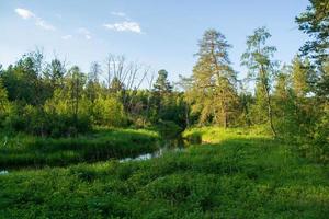 a quiet river in a beautiful summer forest. photo