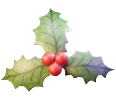 3D illustratie, kerst object, bloem poinsettia, voor web, app, infographic, reclame, etc png