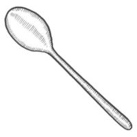 spoon kitchen utensils solated doodle hand drawn sketch with outline style vector