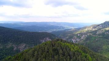 Flygfoto över tallskogar och berg. utsikt över tallskog och höga berg. video