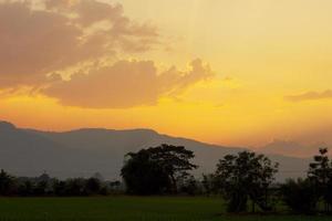 puesta de sol tropical dorada con árbol de silueta en el campo. foto
