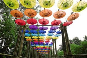 Colorful umbrellas in the park. photo