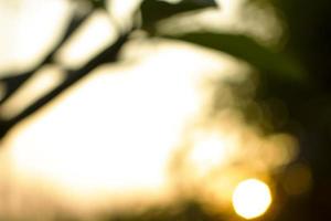 Blur background with yellow bokeh sunset. photo