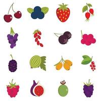 Berries icons set in flat style vector