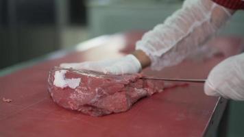 The lid cuts meat. Veal. Butcher who cuts veal leg meat. video