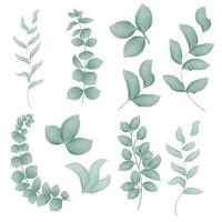 Set watercolor twigs and foliage vector isolated illustration