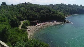 mare spiaggia, persone che nuotano. persone che nuotano nel mare, sulla spiaggia del mare vicino alla foresta. video