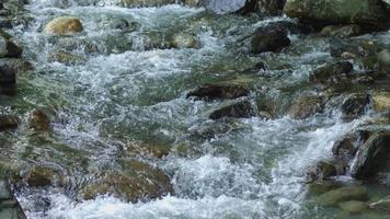 arroyo y piedras. maravillosa vista de la corriente limpia que fluye. video