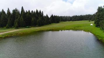 Lake among pine forest. Green area and lake view among pine forests. video