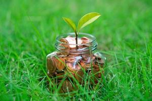 Savings coins and green plant growing in glass bottle photo