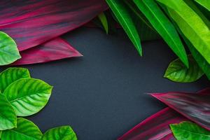 Green and red leaf background with gray space for text photo