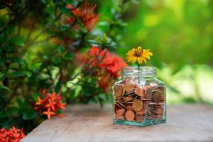 Coins and yellow flower growing in glass bottle, saving money photo