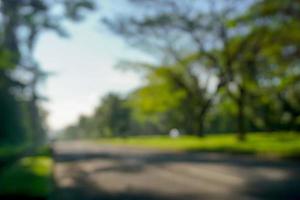 Green leaves on blurred greenery background. Concept plants landscape, ecology. Pro Photo