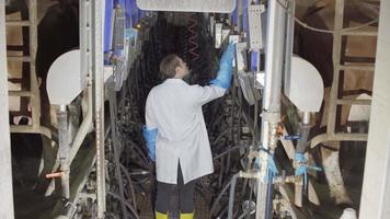 moderne melkinstallatie. de boer bestuurt de machines in de melkeenheid in de melkproductieboerderij en melkt de koeien. video