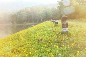 Beautiful pathway beside lake with forest in the early morning at Jetkod-Pongkonsao Natural Study and Ecotourism Center, Saraburi, Thailand. photo