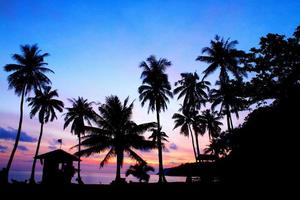 Silhouette of coconut and palm trees at sunrise time on the tropical beach at Angthong Islands National Marine Park, Surat Thani, Thailand - Beautiful landscape view of Nature and Landmark for travel photo